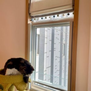 cat-nets-for-private-housing-10-樂陶苑