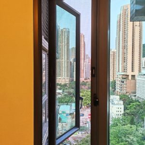 nets-for-private-housing-6-域多利道