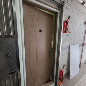 nets-for-public-housing-15-翠林邨