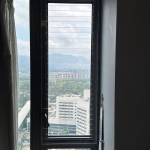 window-grilles-for-windows-6