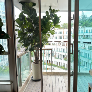 #畢架山峰 #畢架山 #回捲門 #回捲窗 (2)